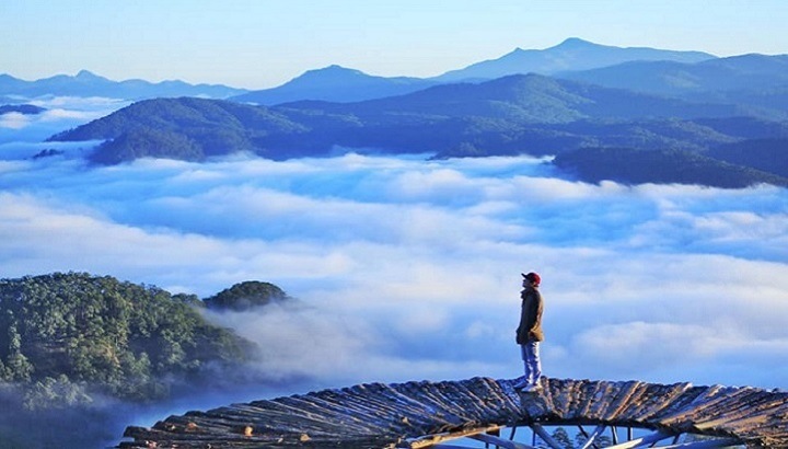 Đồi chè Cầu Đất xanh mướt vào buổi sáng