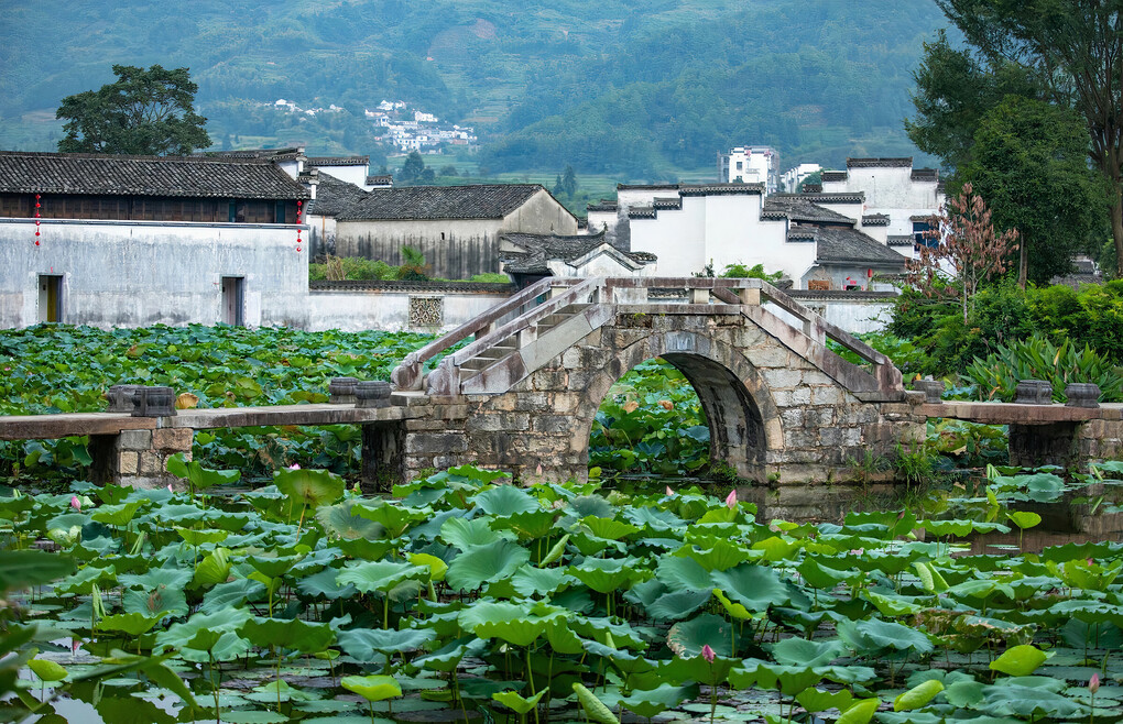 Huangling nhìn từ trên cao, những ô ruộng bậc thang và làng cổ ẩn hiện trong sương sớm