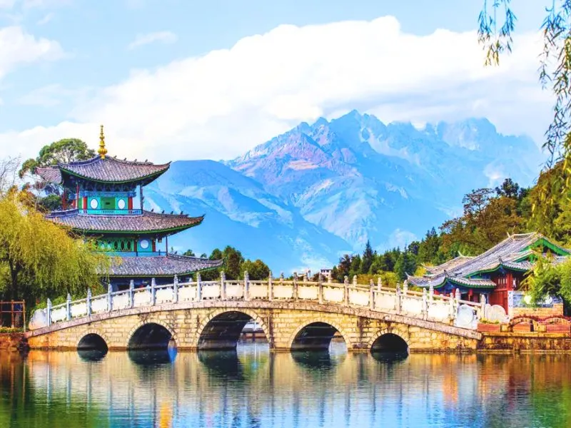 Công viên Thúy Hồ với chim hải âu