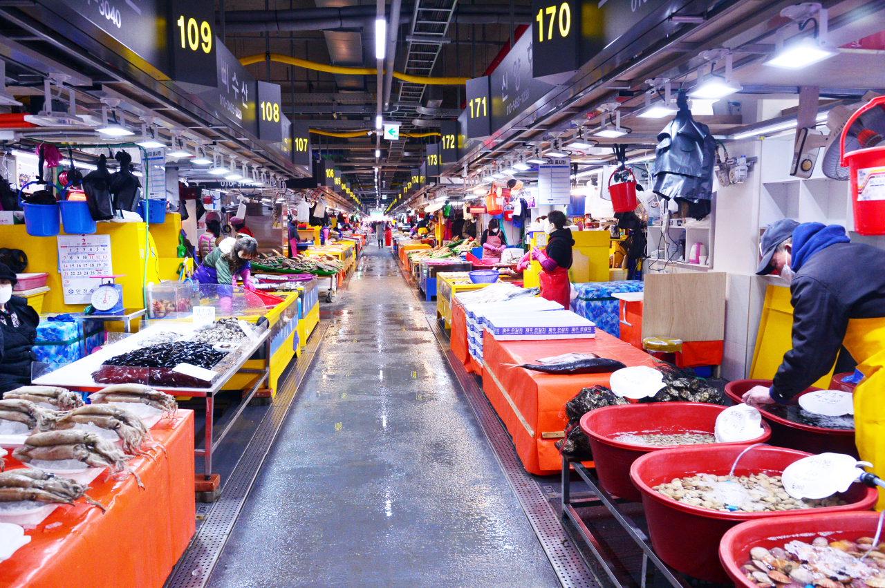 Con đường ven cảng với những chiếc chong chóng xoay tít