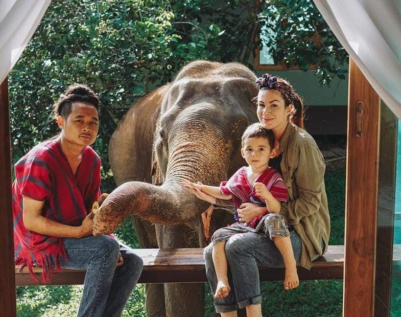 Chai Lai Orchid: Khi Voi Kể Chuyện Rừng, Và Tôi Kể Bạn Nghe Về Một Ngày Đẹp Đẽ.