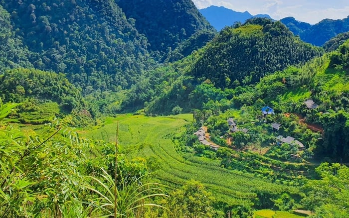 Một loài chim quý hiếm tại khu bảo tồn