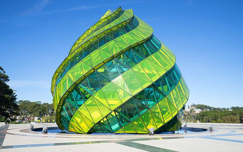 Đồi thông xanh mướt Đà Lạt