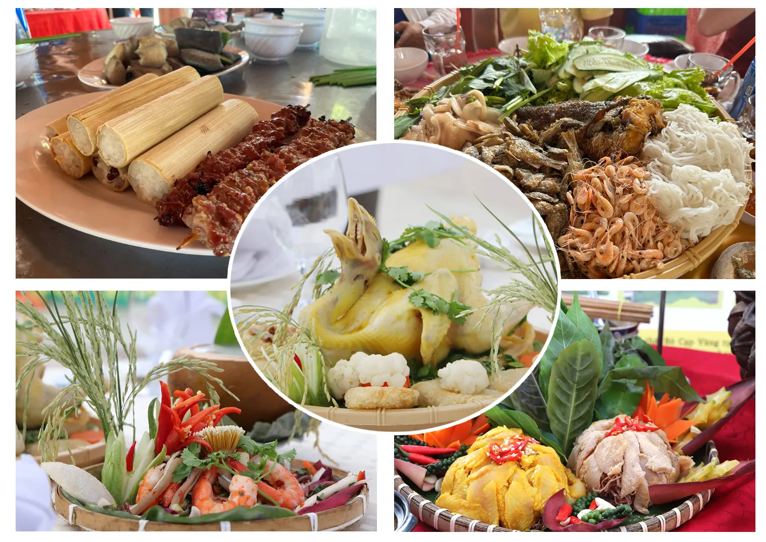 Các hoạt động vui chơi tại Khu du lịch Bò Cạp Vàng