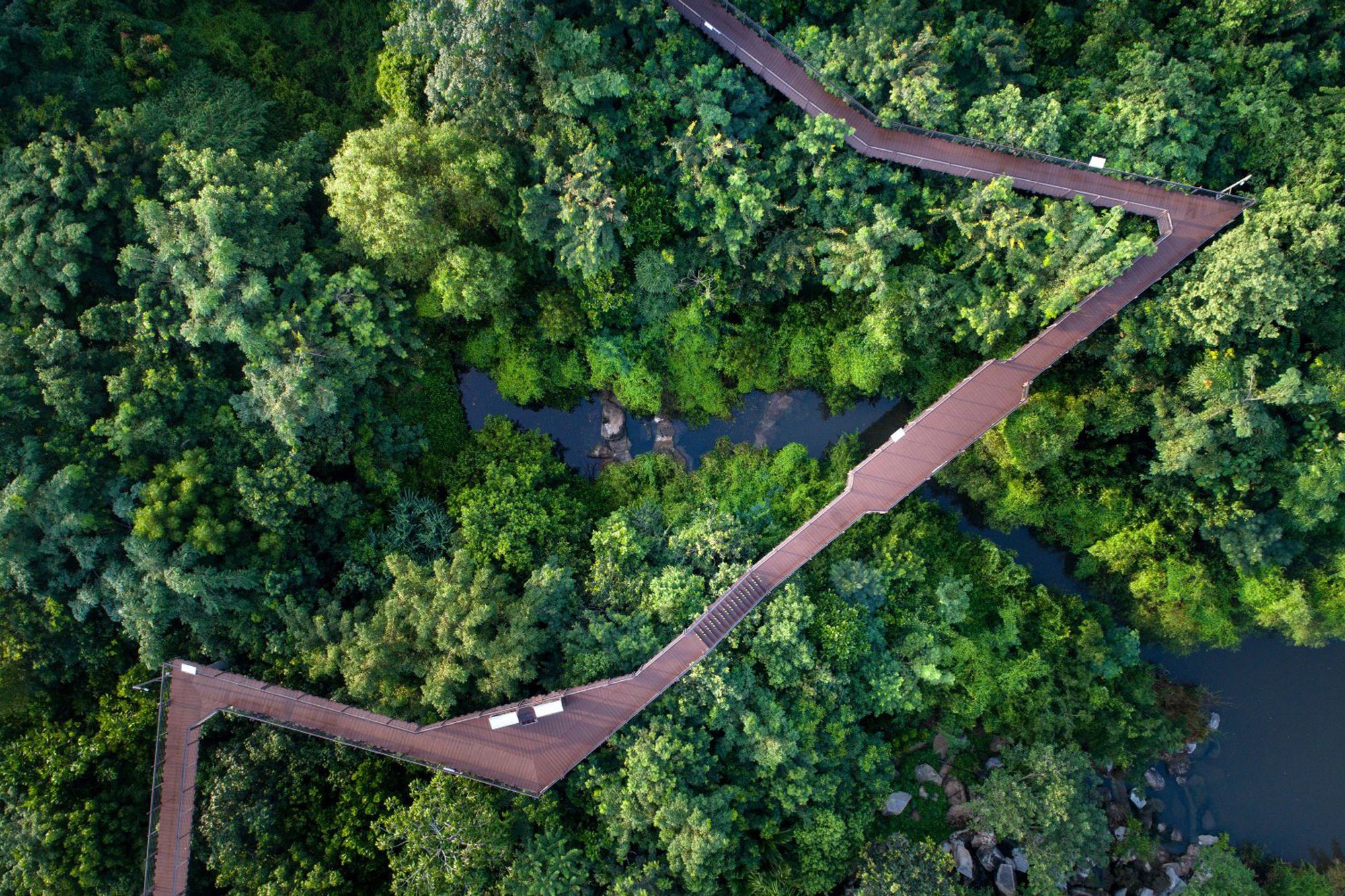 Rừng cây xanh mướt tại Pa Nai Krung