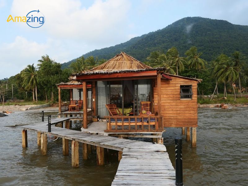 Ngôi nhà nhỏ ấm cúng với vườn cây xanh tươi