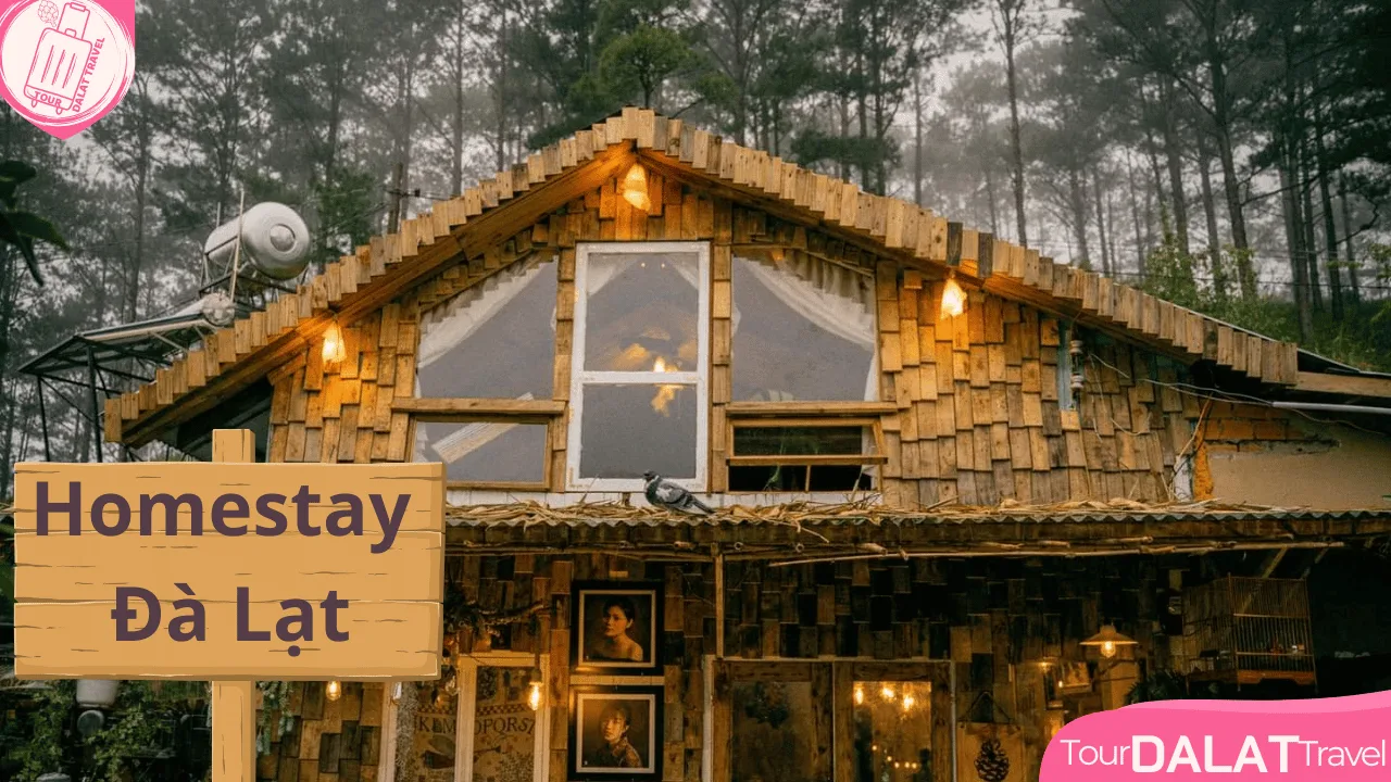 Một góc khác của homestay ấm cúng, view đẹp ở Đà Lạt.