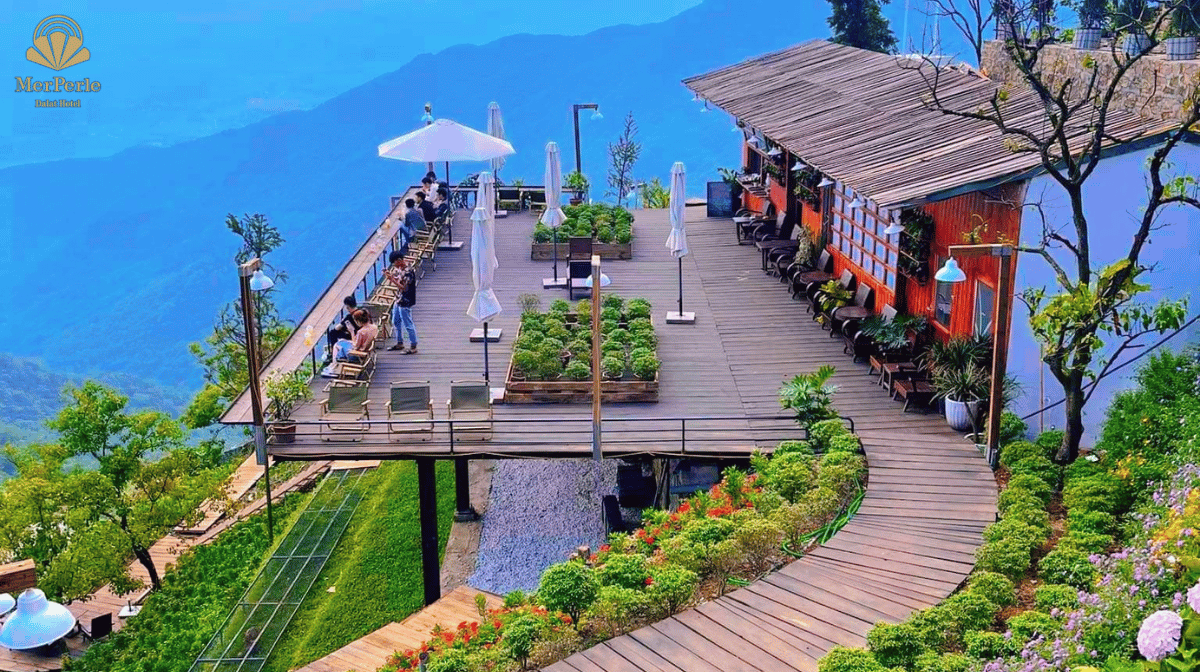 Quán cà phê Dreamers với view rừng thông tuyệt đẹp