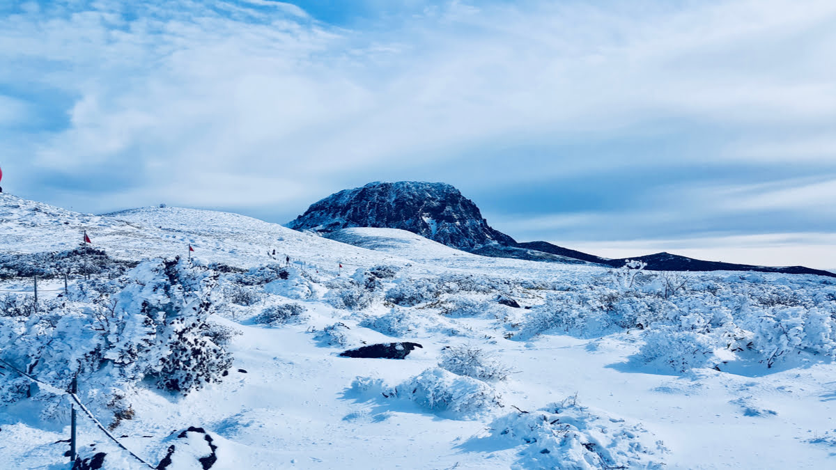 Đường lên núi Hallasan với cảnh quan hùng vĩ