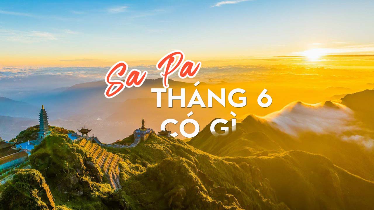 Cảnh Sapa ban ngày với ruộng bậc thang và núi non hùng vĩ