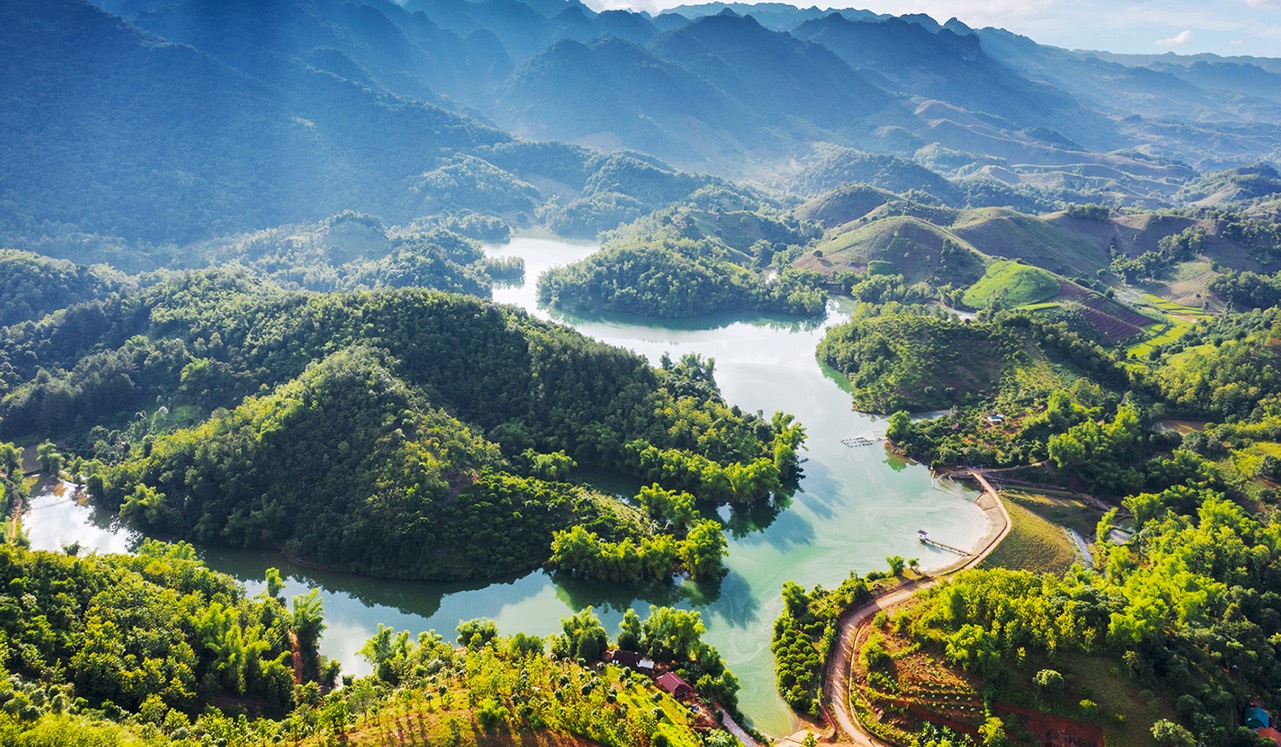 Sếu chóp đầu đỏ tại Biển Đỏ Bàn Cẩm