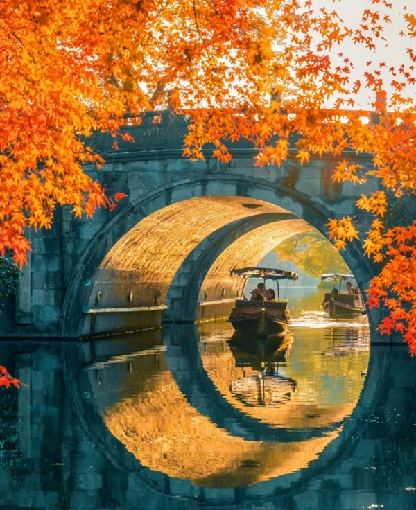 Gấu trúc ở Thành Đô