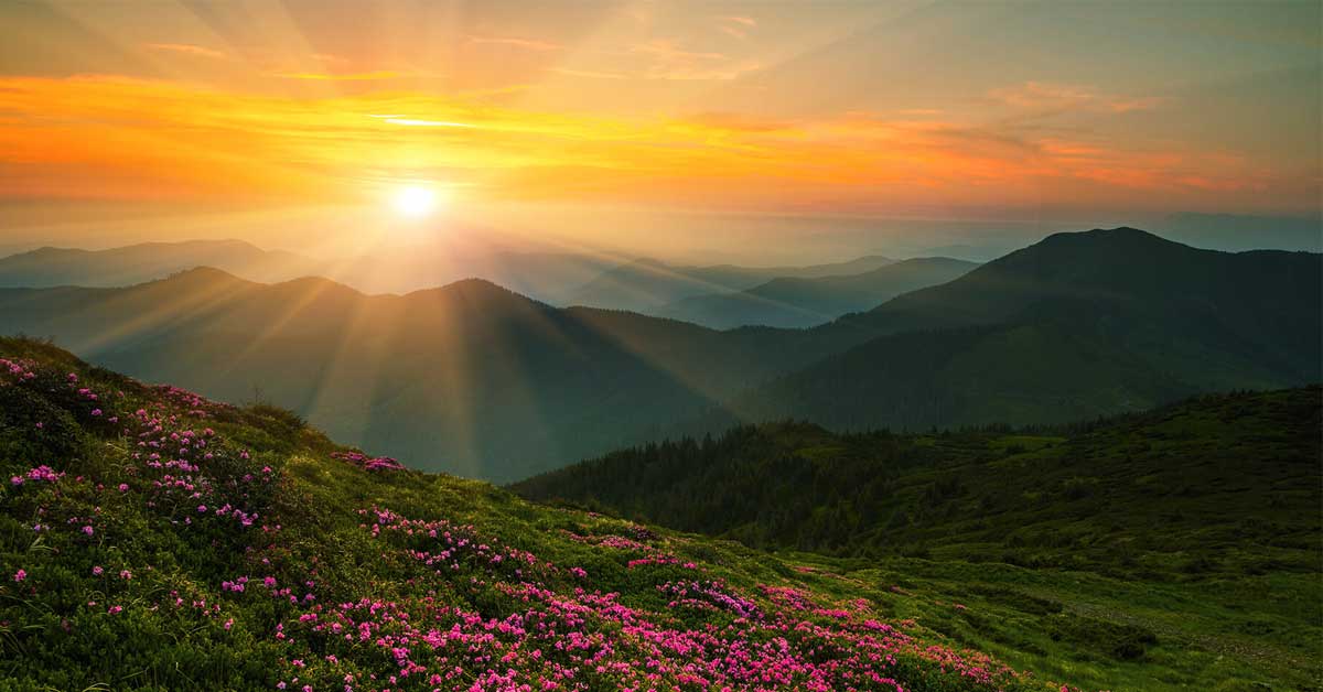 Bình minh ló dạng