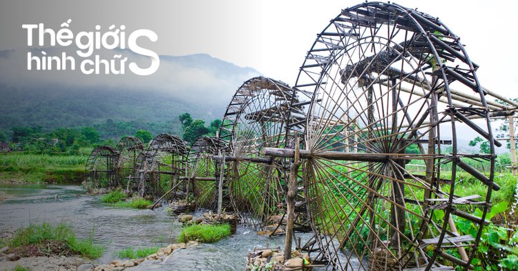 Một nhóm bạn trẻ đang vui vẻ du lịch cùng nhau