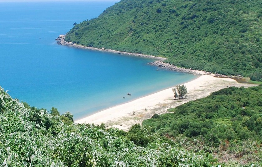 Bãi Chuối – Chuyến Đi Săn Bình Yên Giữa Sương Mây Hải Vân 🌸