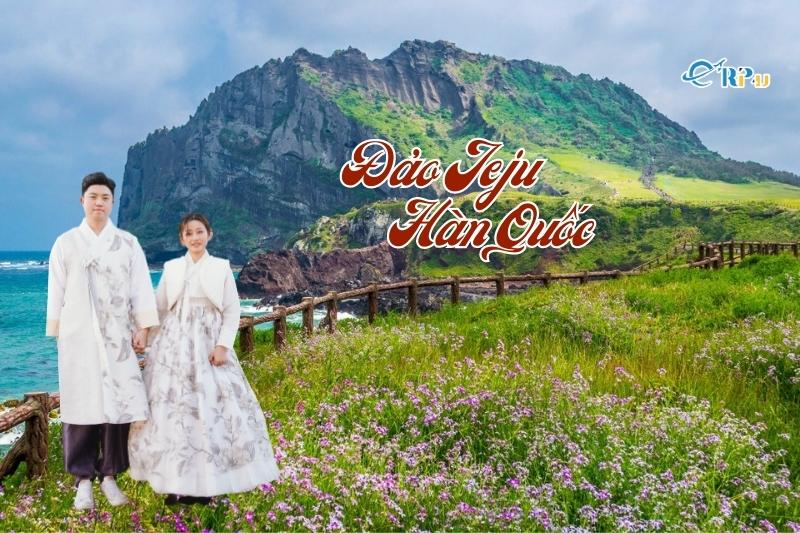 Cảnh quan bờ biển Jeju bình yên