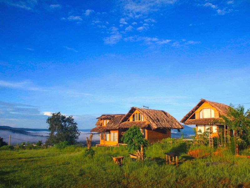 Một homestay có kiến trúc độc đáo, hòa mình vào thiên nhiên Đà Lạt.