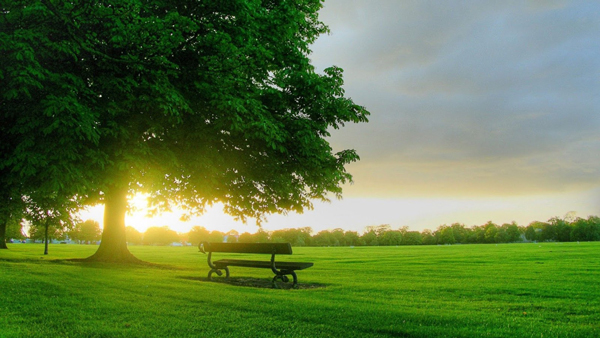 Khoảnh khắc bình yên