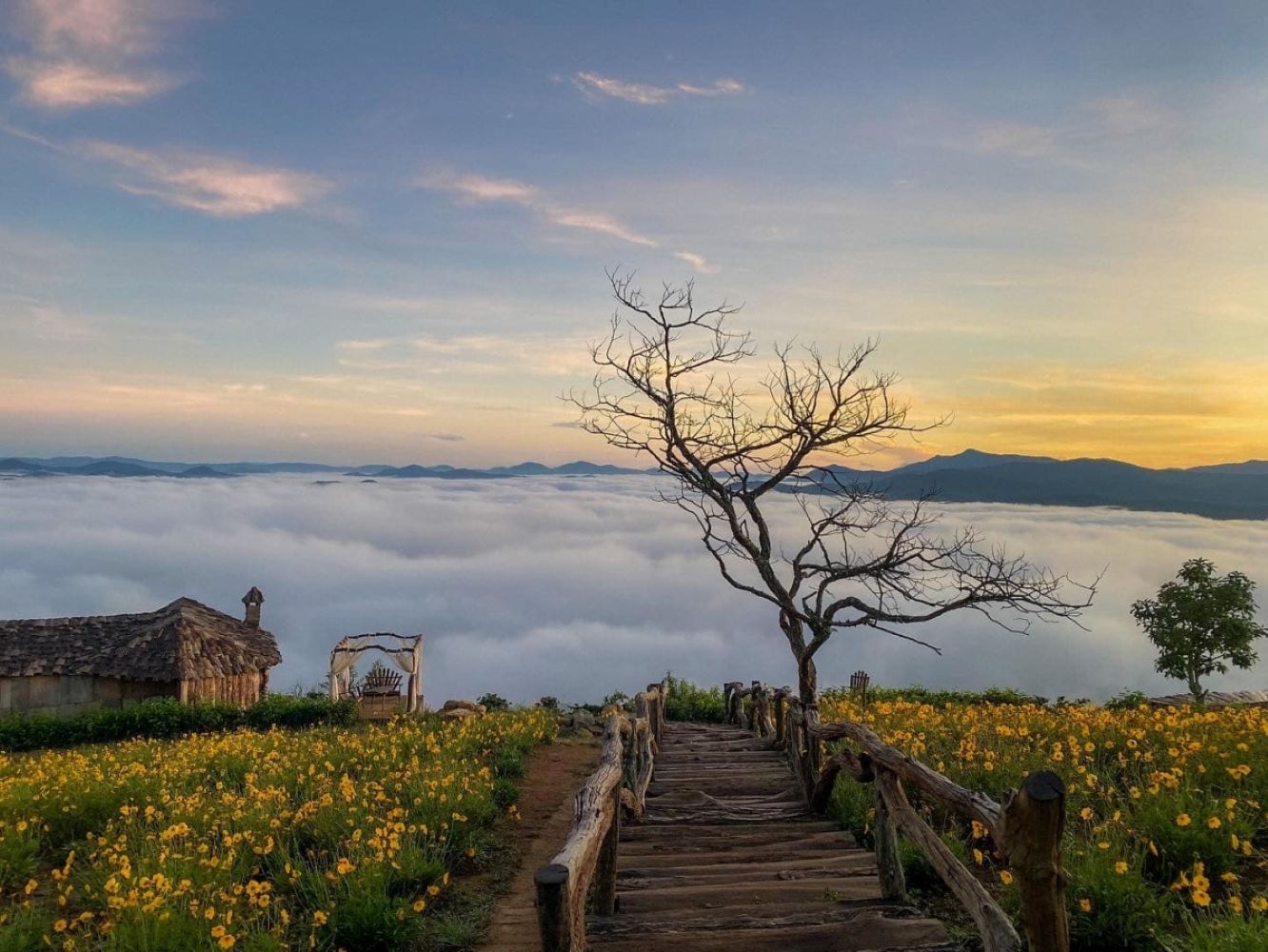 Quán cà phê với view ngắm thành phố Đà Lạt