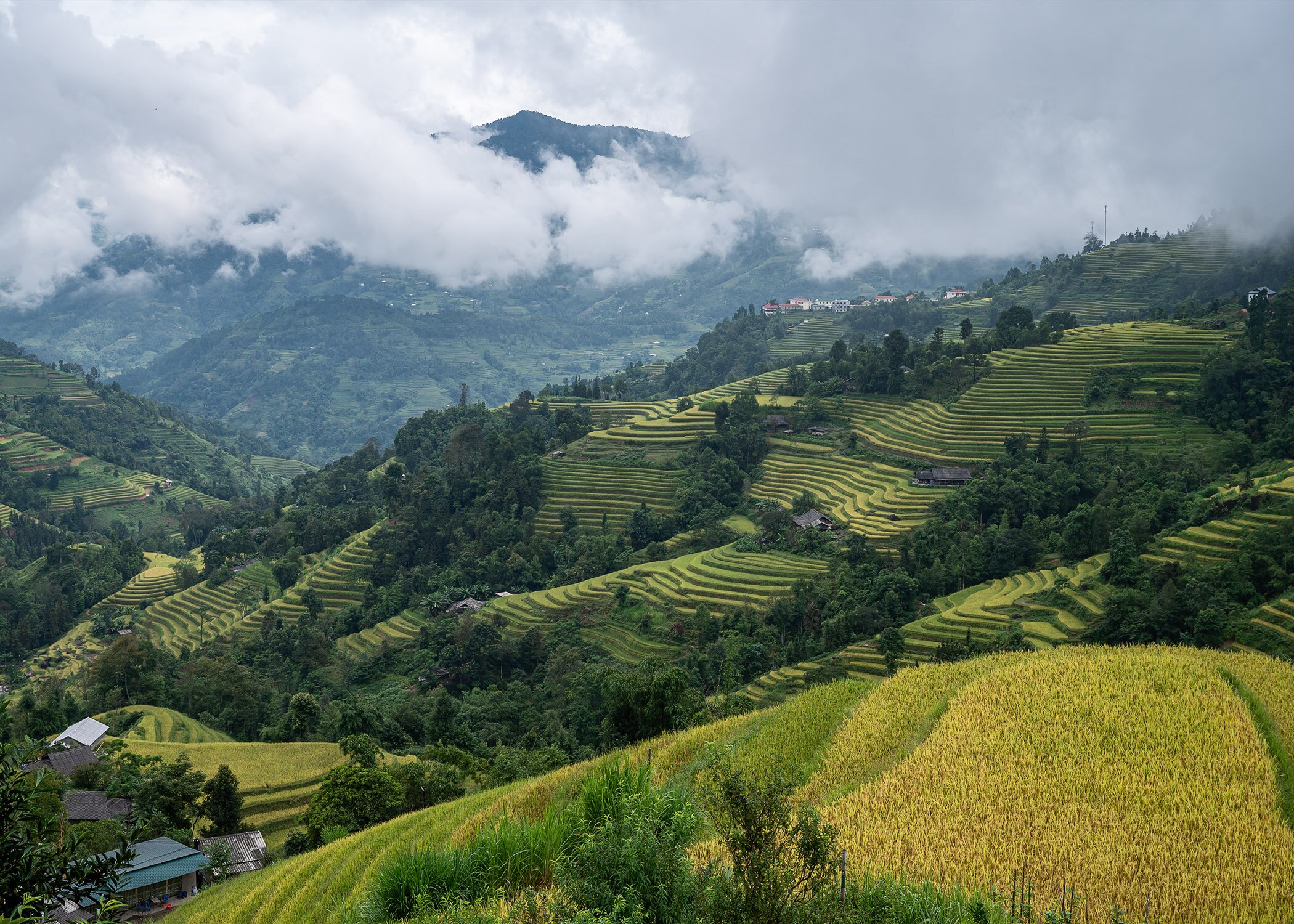 View homestay Hoàng Su Phì