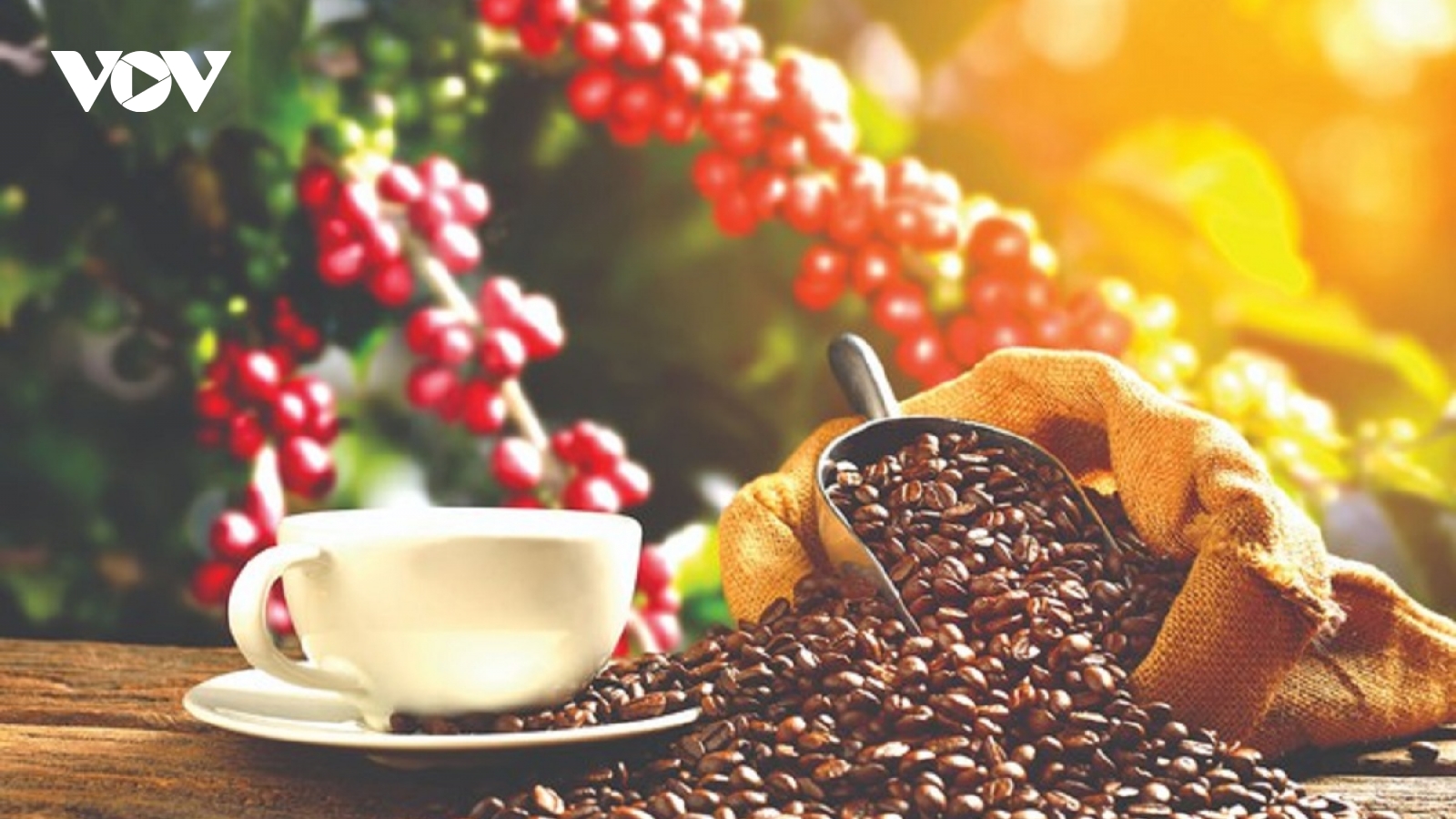 Ly cà phê thơm ngon