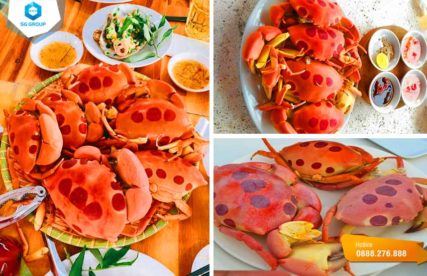 Món cua mặt trăng đặc sản đảo Phú Quý