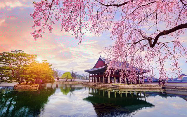 Thanh Xuân Này, Mình Cùng Nhau Khám Phá Hàn Quốc: Seoul Lộng Lẫy và Nami Mộng Mơ 🌸