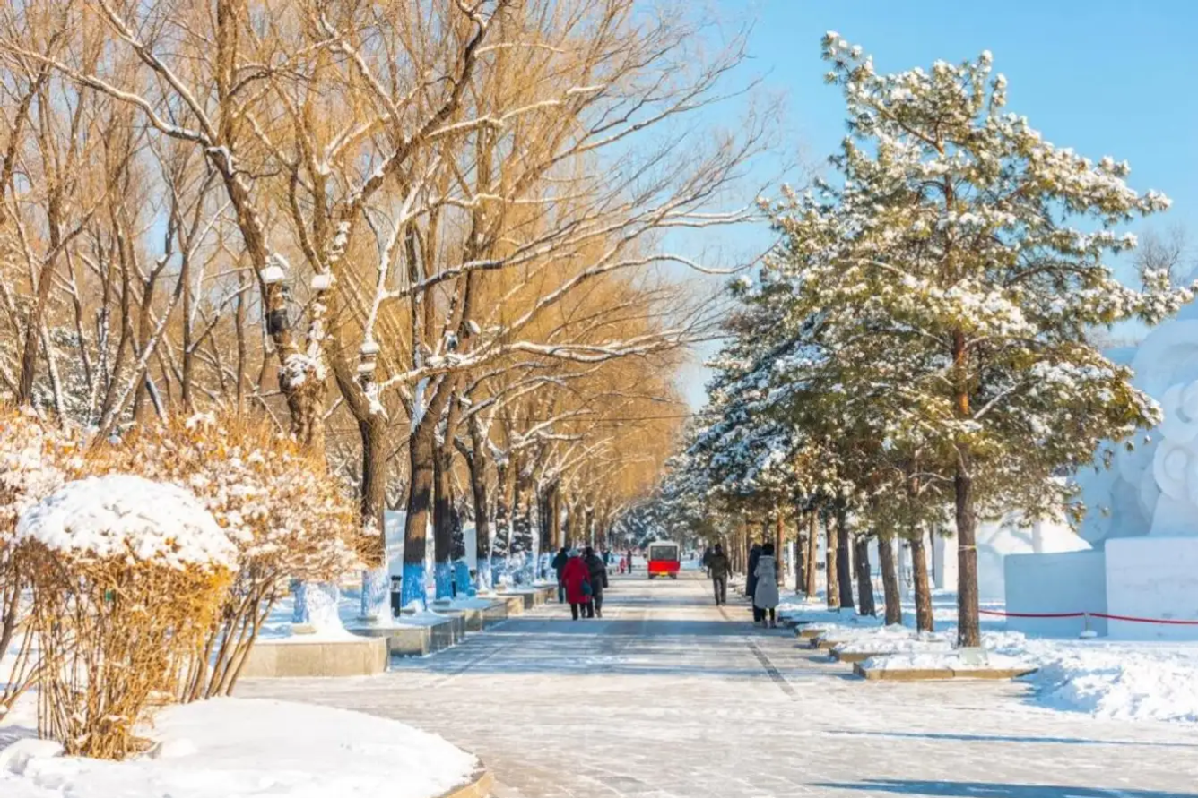 Trung Quốc Tháng 12: Hành Trình Giữa Vương Quốc Tuyết Trắng Và Nắng Ấm Phương Nam 🌸