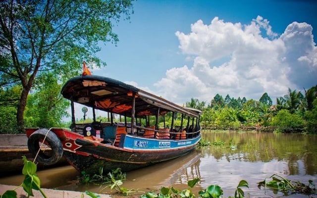 Vườn trái cây trĩu quả ở Cù lao An Bình