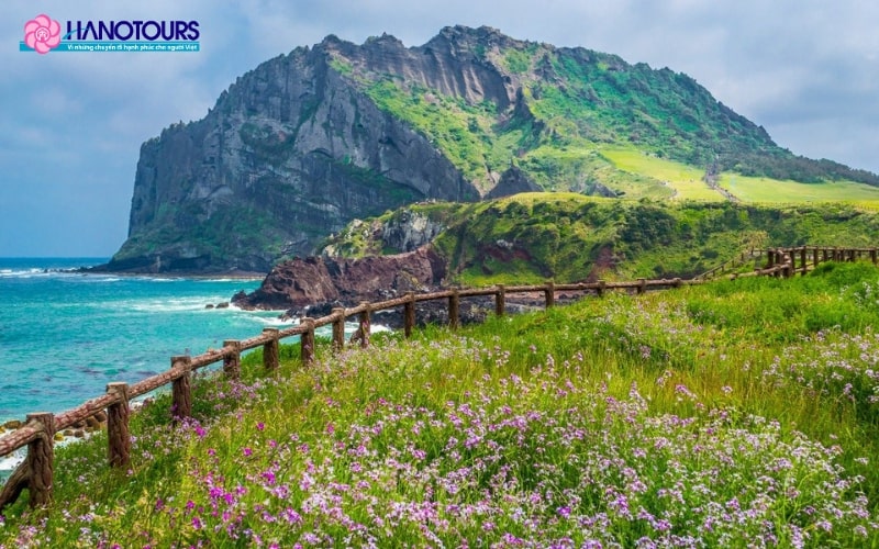 Jeju Mộng Mơ: Nơi Mỗi Lần Trở Lại Là Một Kỷ Niệm Mới