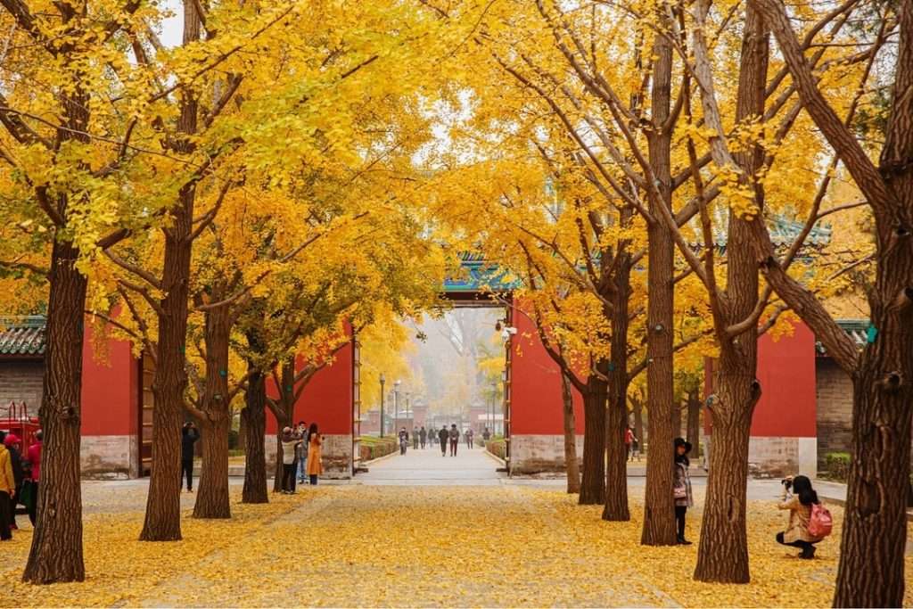 Cảnh quan Trung Quốc sau mưa