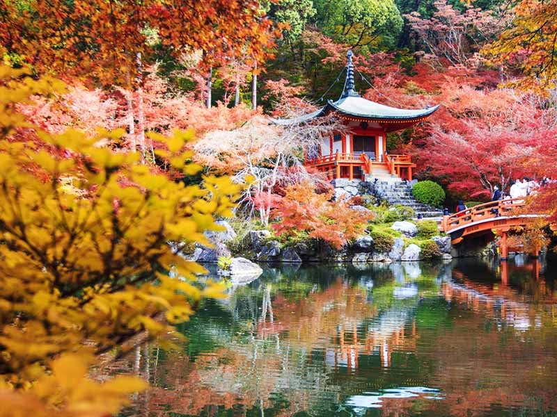 Cầu gỗ uốn lượn giữa cảnh quan đỏ rực