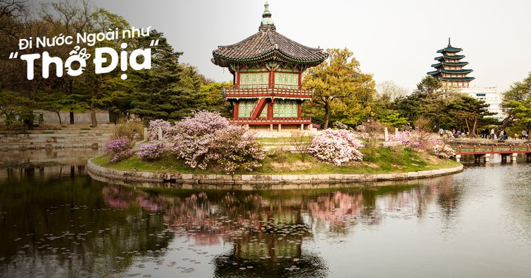 Hàn Quốc Ơi, Đi Ngay Kẻo Lỡ! Bỏ Túi Bí Kíp ‘Sống Sót’ Từ Min!