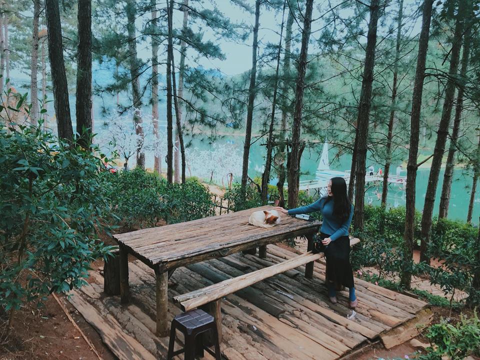 Một quán cà phê nhỏ mộc mạc với không gian yên tĩnh ở Đà Lạt.