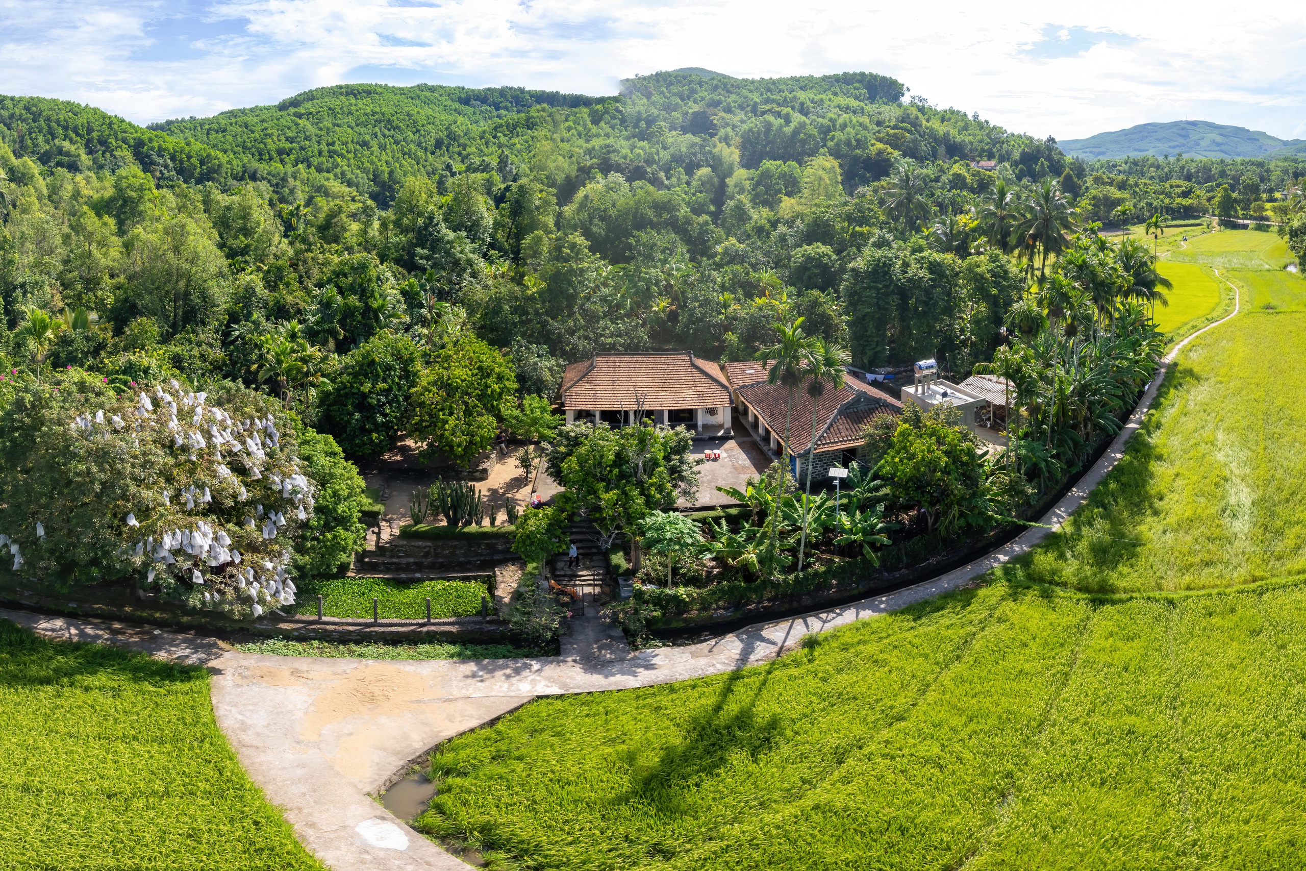 Góc làng yên bình với nhà cổ và cây xanh