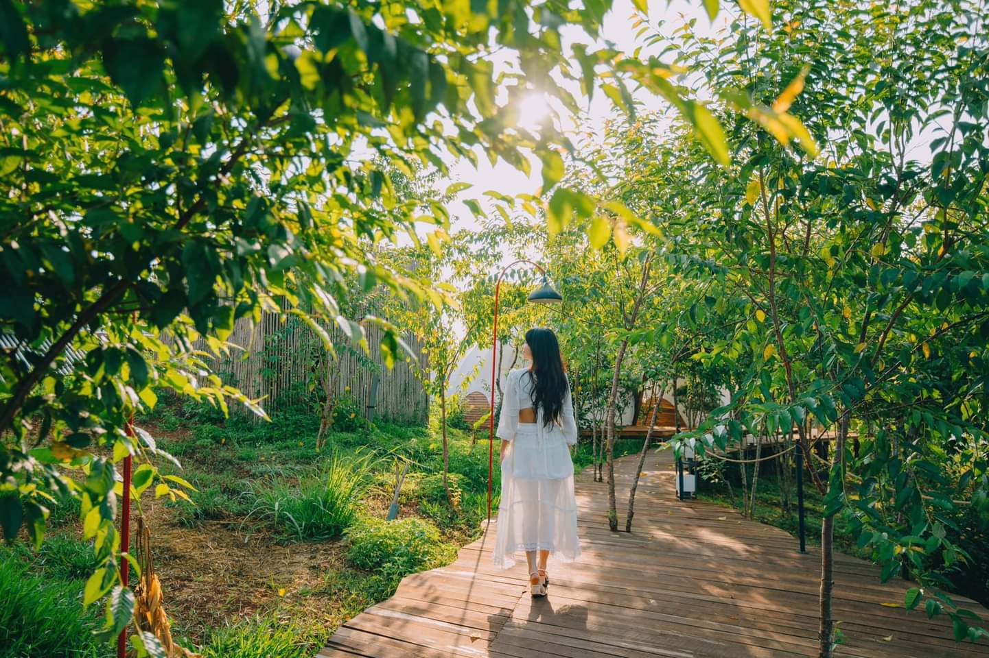 Chiếc lều màu xanh giữa rừng cây xanh mướt, hòa mình vào thiên nhiên.