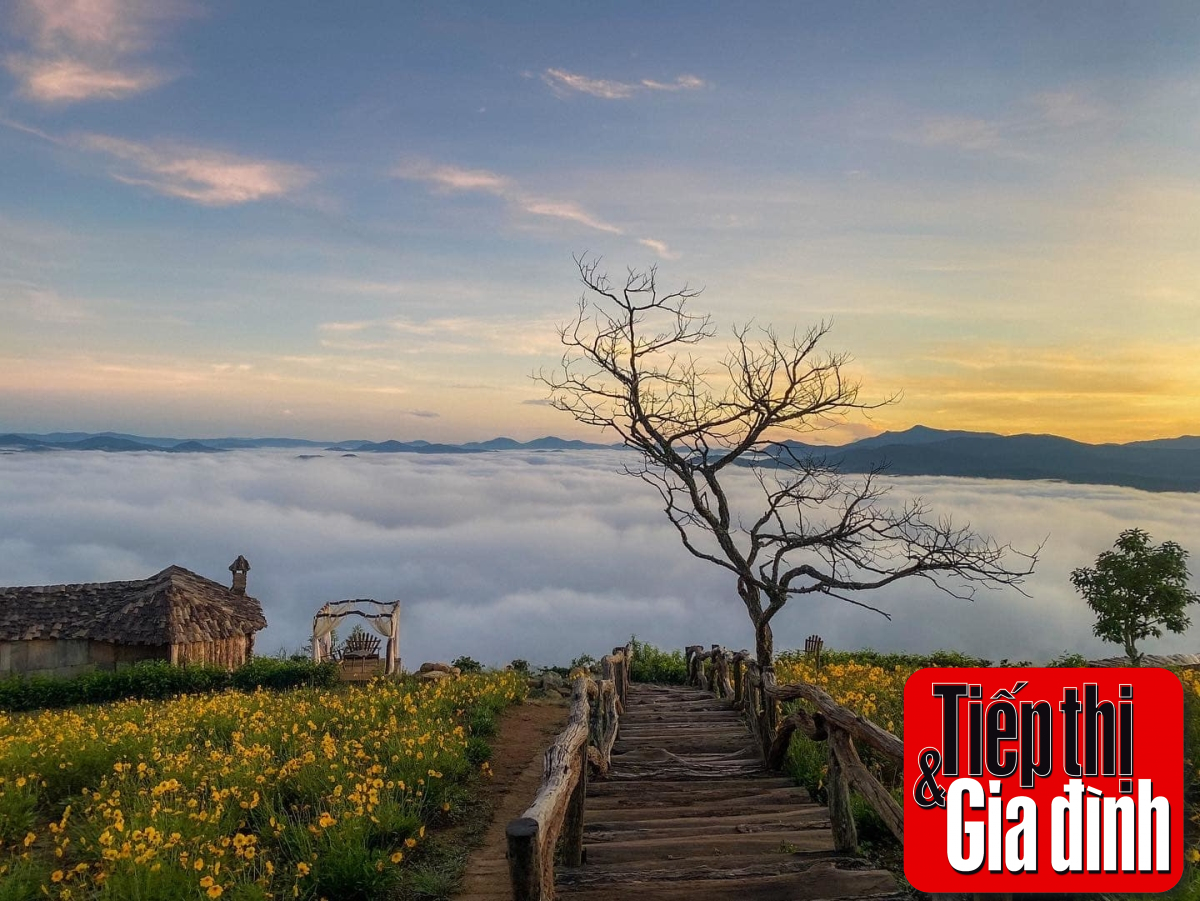 Cảnh quan tuyệt đẹp từ homestay