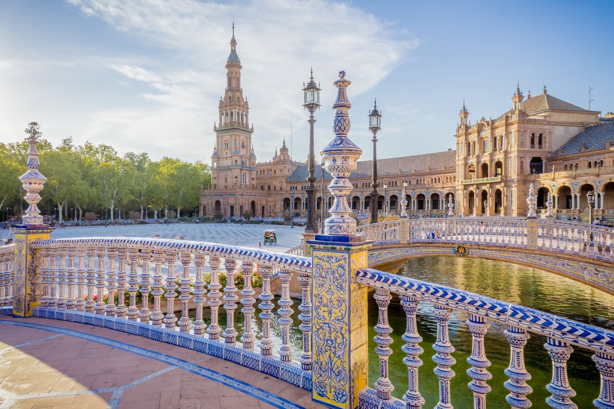 Những trái cam chín mọng trên cành lá xanh tươi ở Seville