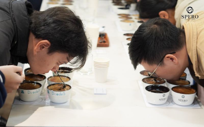 Toàn cảnh Đà Lạt về đêm từ Tiệm cafe tháng 3 với Nhà thờ Con Gà nổi bật