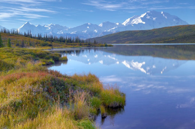 Đàn voi ở công viên Aberdares