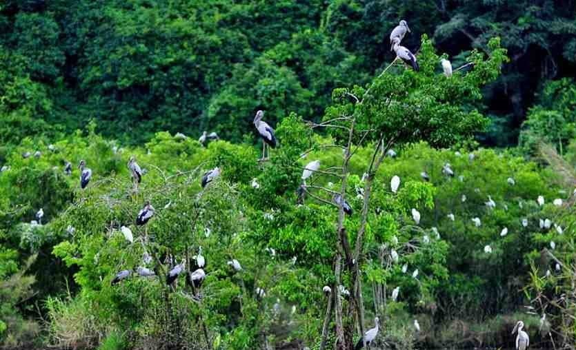 Toàn cảnh khu bảo tồn thiên nhiên