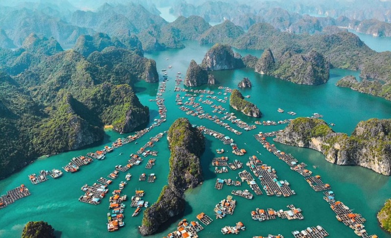 Vịnh Lan Hạ ở Cát Bà với hàng loạt đảo đá vôi xanh mướt nổi trên mặt nước trong xanh, tàu thuyền neo đậu thanh bình.