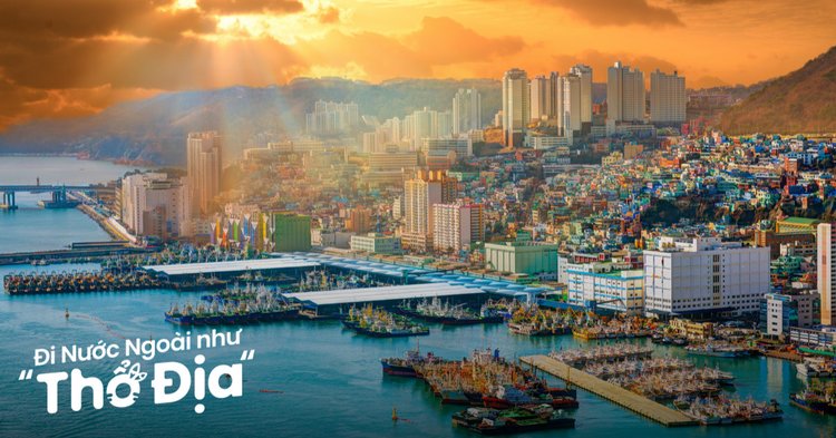 Làng văn hóa Gamcheon rực rỡ sắc màu, nổi bật trên sườn đồi