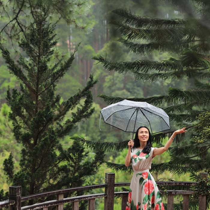 Đà Lạt mùa mưa với những góc phố lãng mạn