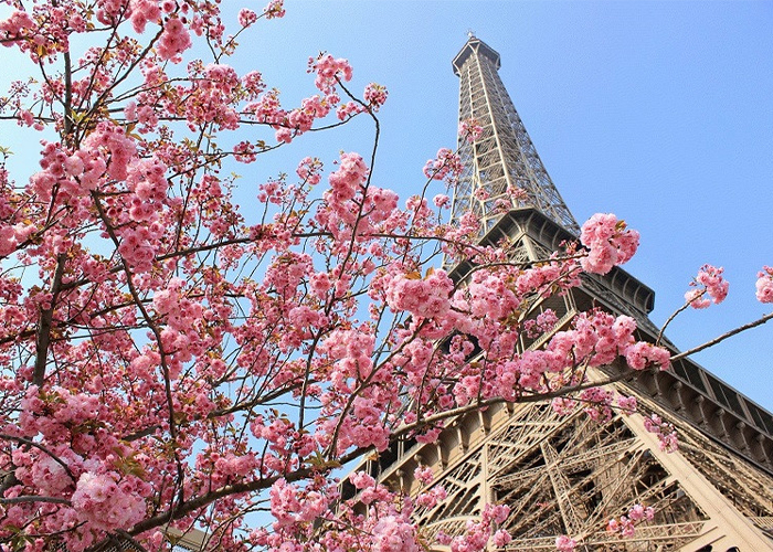 Lễ hội thả diều Pháp