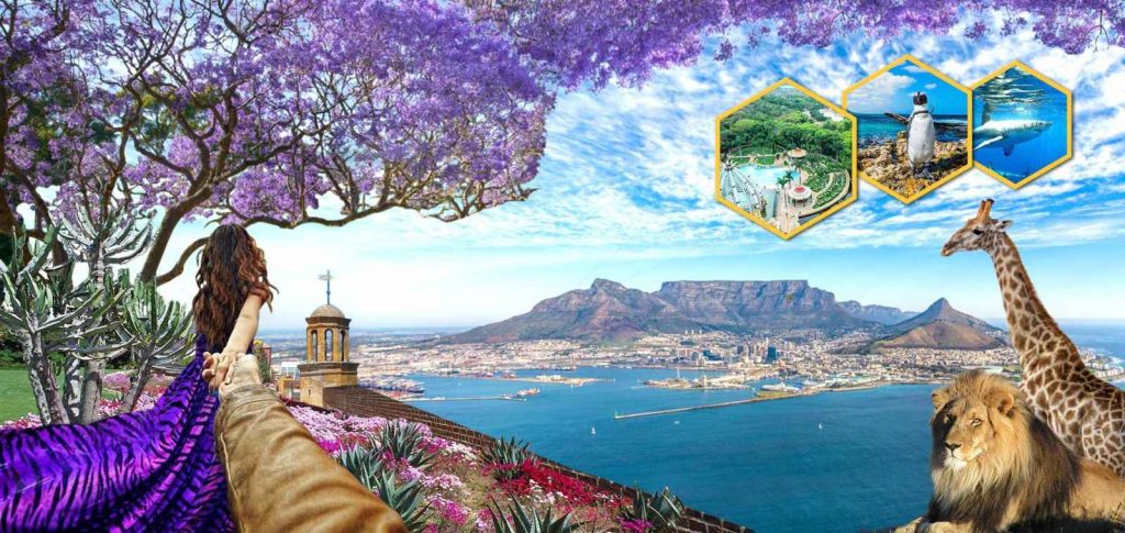 Toàn cảnh Nam Phi mùa hoa phượng tím nở rộ