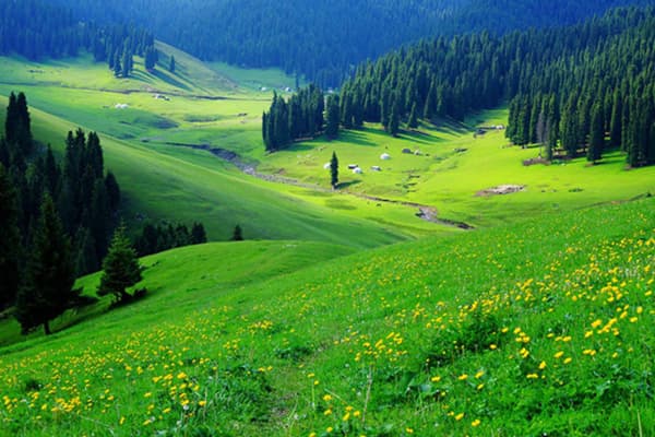 Tân Cương với những thảo nguyên đẹp như tranh