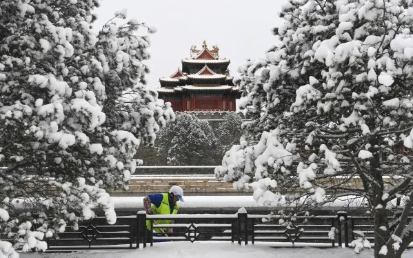 Hàng cây bạch quả chuyển vàng rực rỡ ở Thành Đô