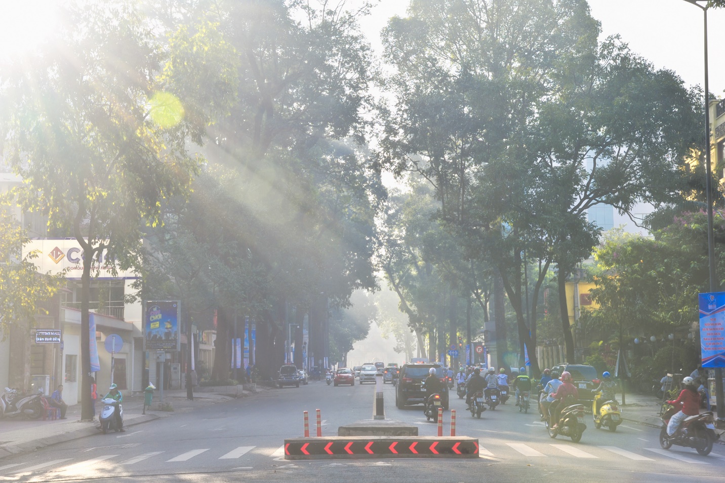 Người dân Sài Gòn thư giãn trong công viên