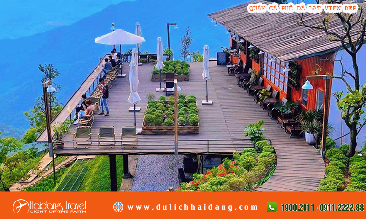 Quán cà phê với view rừng thông tuyệt đẹp